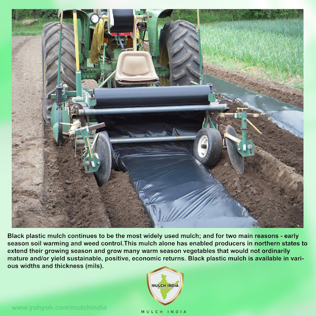 MulchIndia Black Plastic Mulch Mulch India