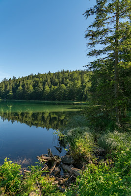 Almwanderung Inzell | Bergwald- Erlebnispfad - Frillensee - Steineralm 10