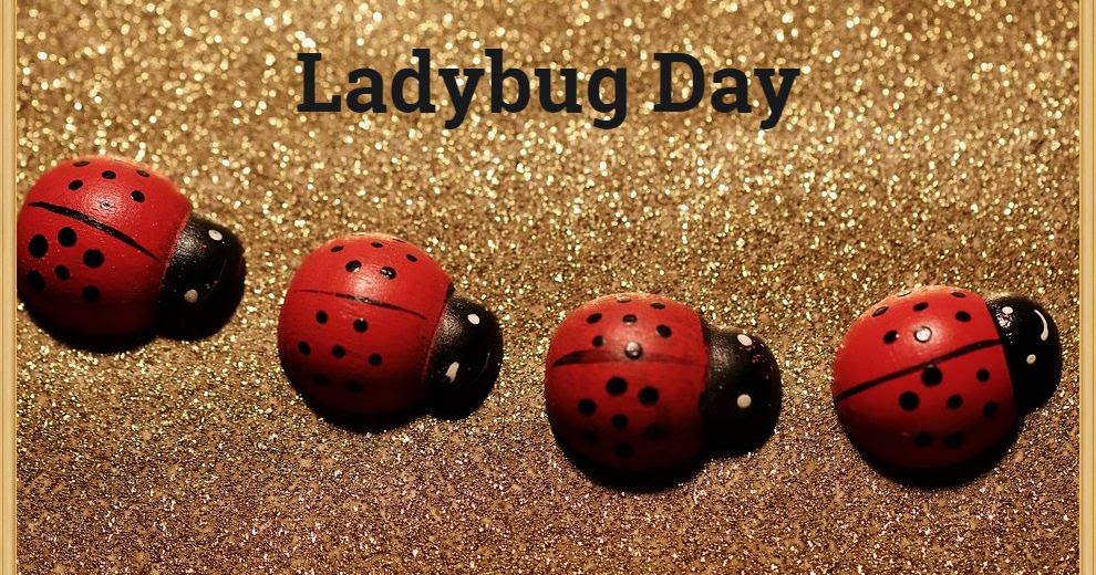 Hurst Ladybug sticker decal old school aircooled samba bus lady beetle bird 5"