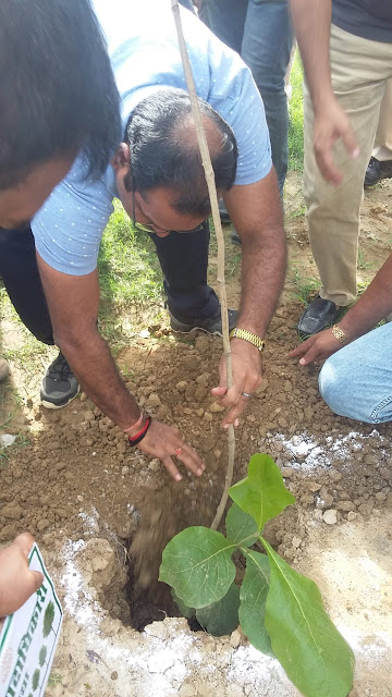 गया में जल शक्ति और पौधारोपण मुहिम