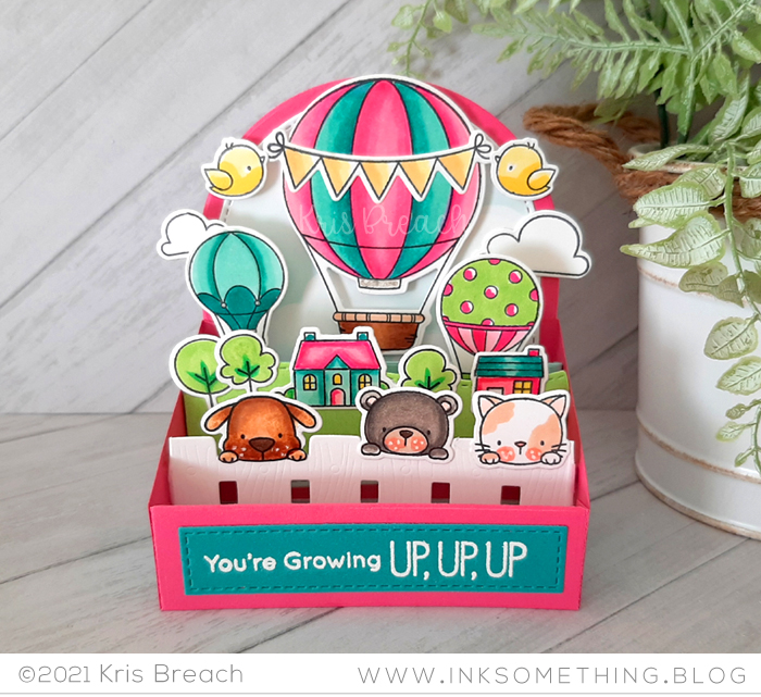 Outside the Box Birthday Bonanza