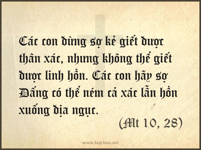Các con đừng sợ những kẻ giết được thân xác