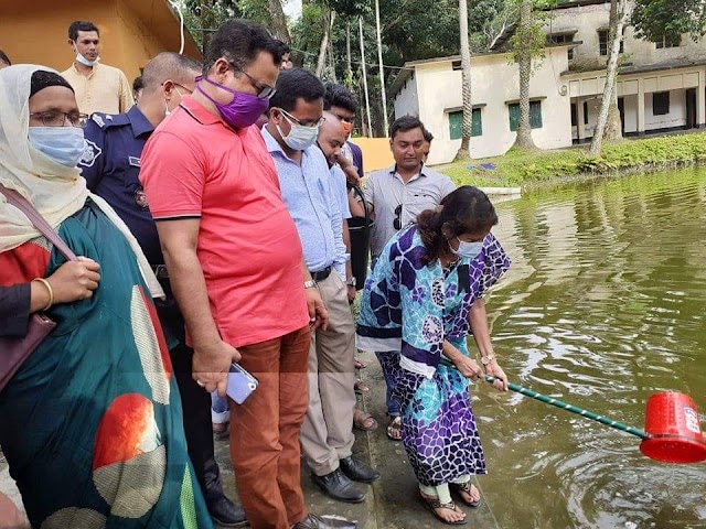 পলাশবাড়ীতে জলাশয়ে পোনা মাছ অবমুক্তকরণের উদ্বোধন করেছেন এ্যাড. স্মৃতি এমপি