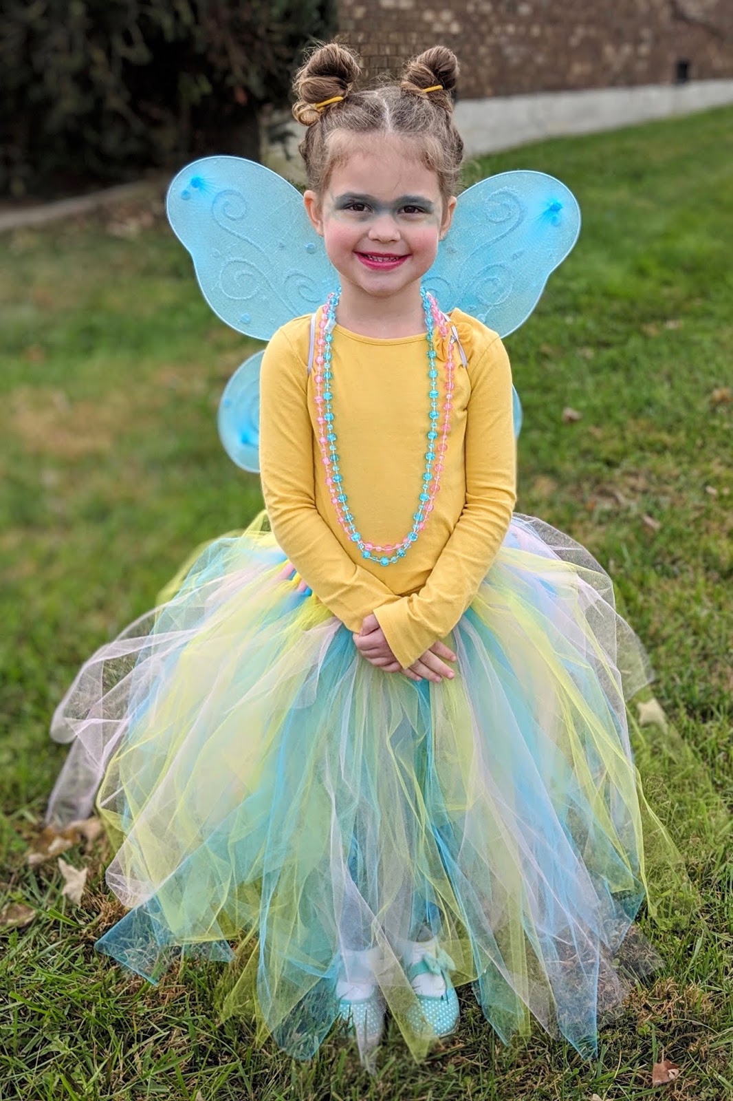 Butterfly Homemade Halloween Costume
