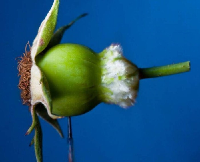 Alan Sailer. Взрывающиеся предметы 11