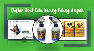 Merk Obat Kutu Kucing