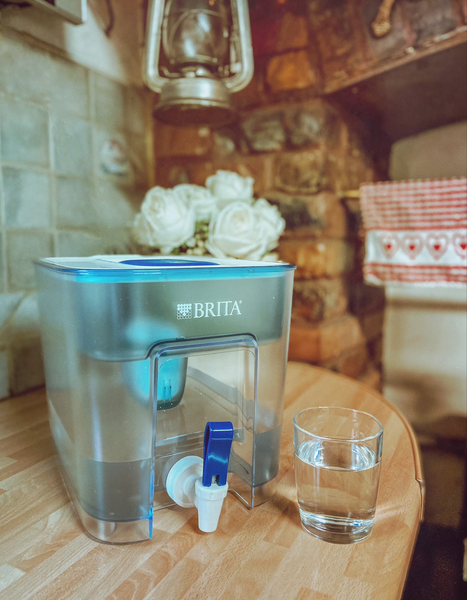 Keeping the Family Hydrated With BRITA Dolly Dowsie