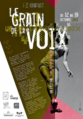 Festival le grain de la voix 2013 à Pau