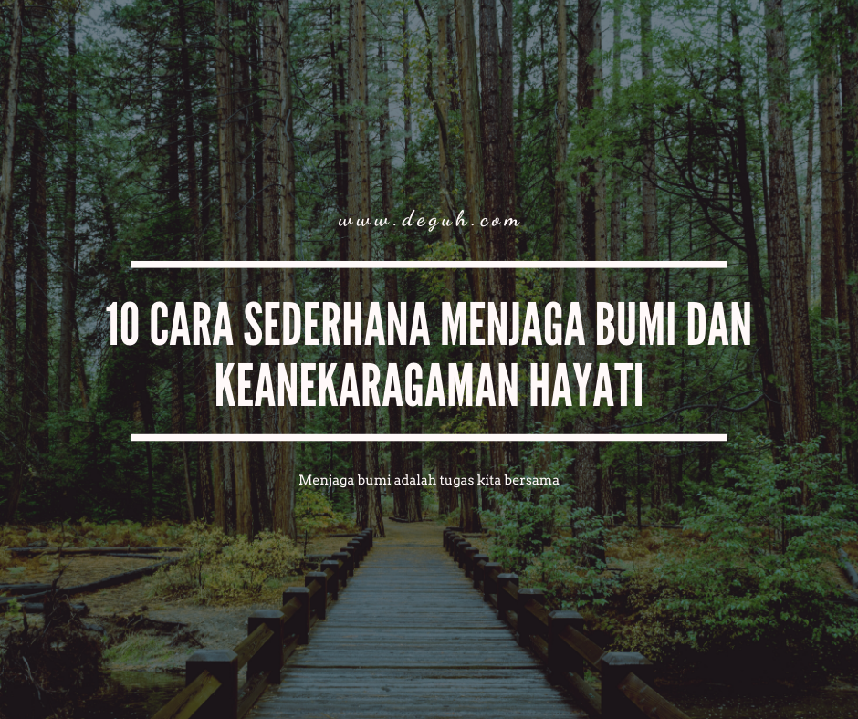 Bagaimana Cara Menjaga Kelestarian Hutan Agar Fungsi Utama Sebagai Paru