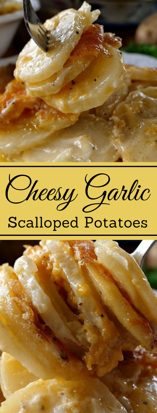 CHEESY GARLIC SCALLOPED POTATOES #potato #dinner #healthyrecipes #garlic #food