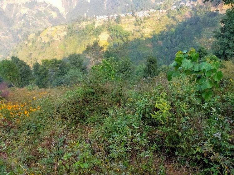 Land for Sale at Kathmandu