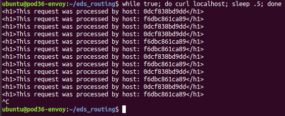 Curl localhost. Run unreachable code Ubuntu. Сообщение destination unreachable (цель недоступна).