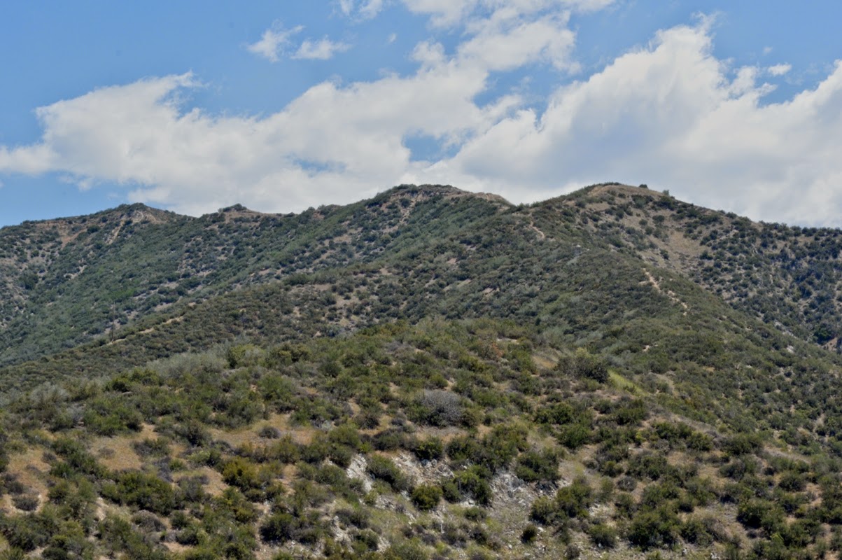 California California