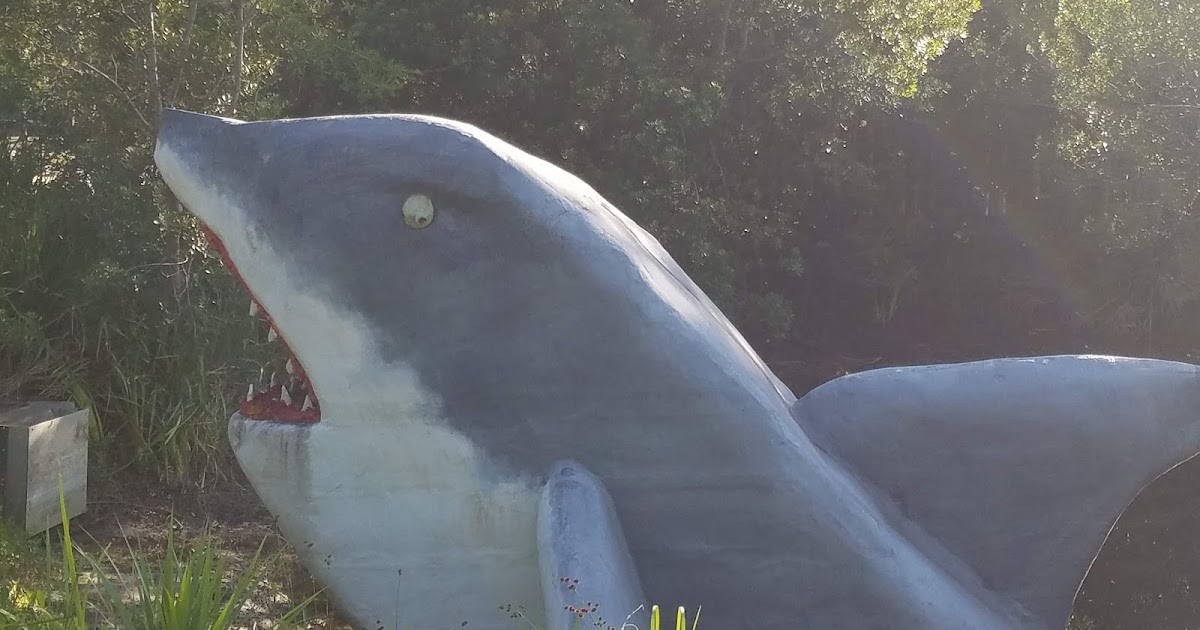 Prompt Place Writing Prompt Shark Prompt Place Writing Prompt Shark