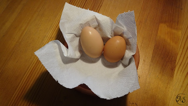 Házi tojások