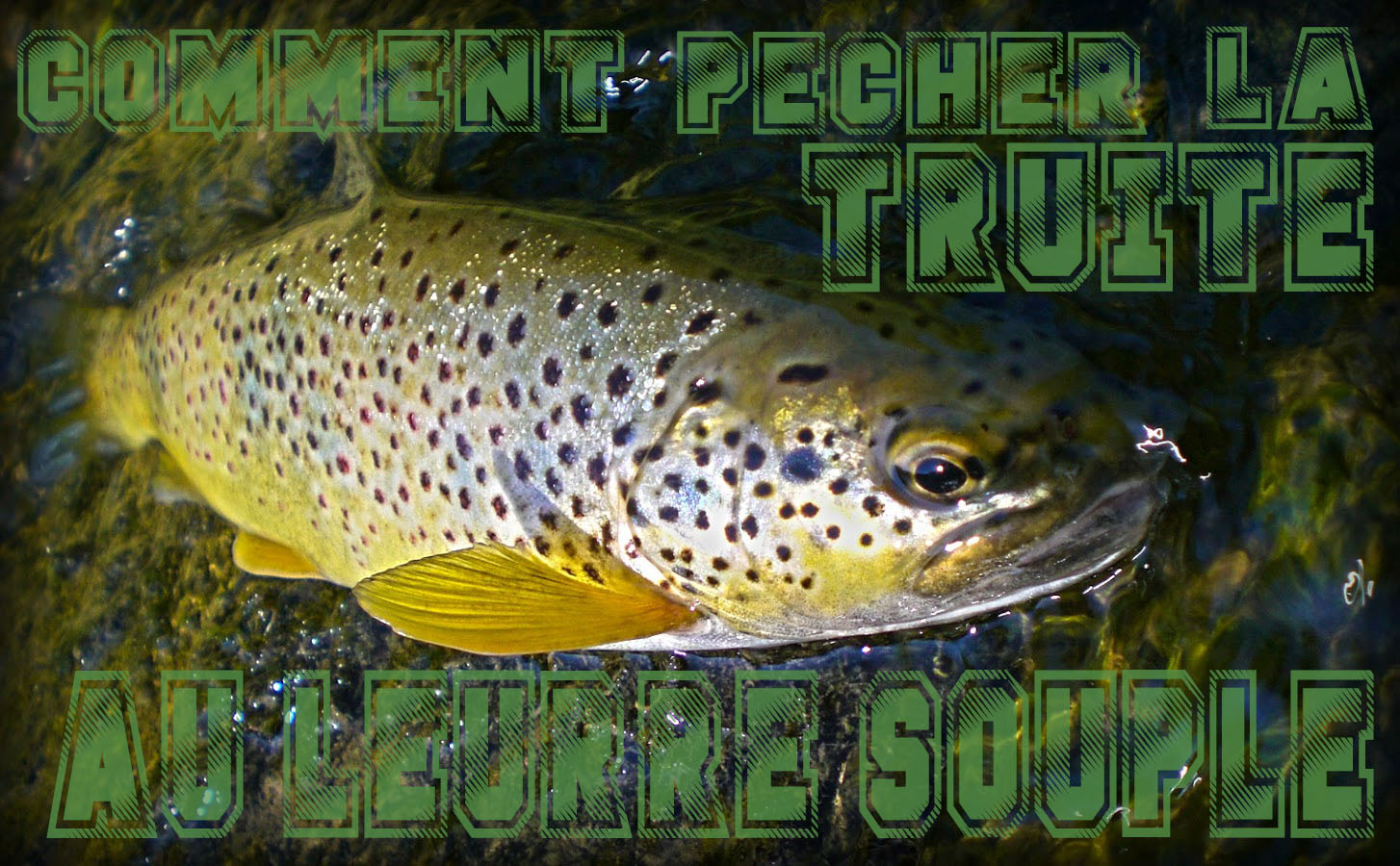 comment pecher la truite au leurre souple