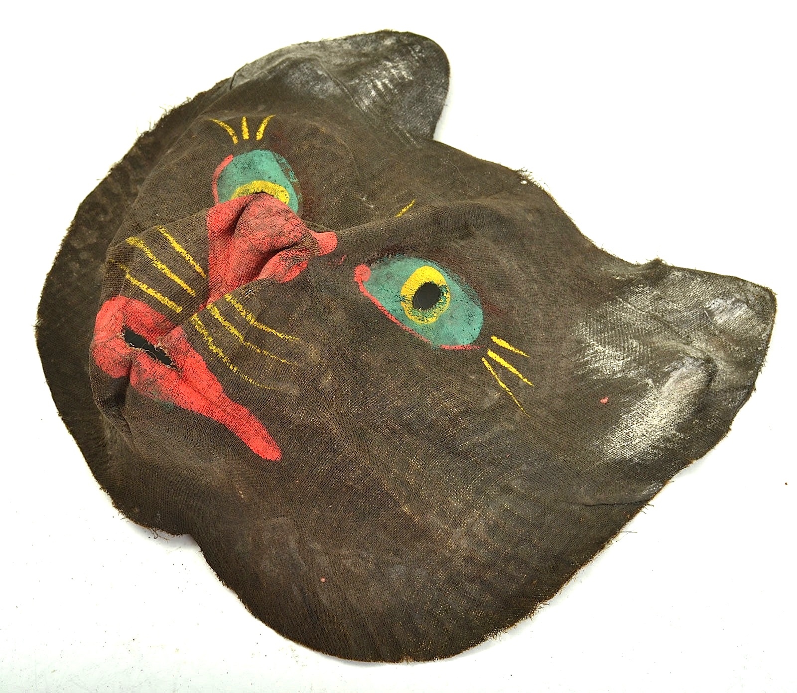Dull Tool Dim Bulb: Best Cat (mask) on the Internet
