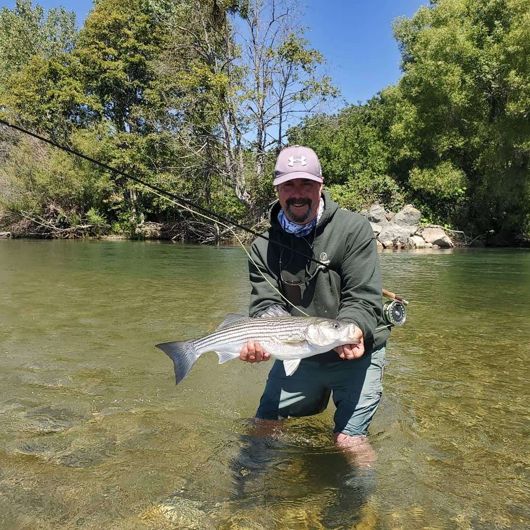 Nor Cal Fly Guides Ncfg Blog Northern California Fly Fishing Guide, Northern California Fly