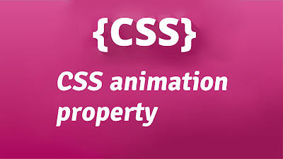 CSS animation property