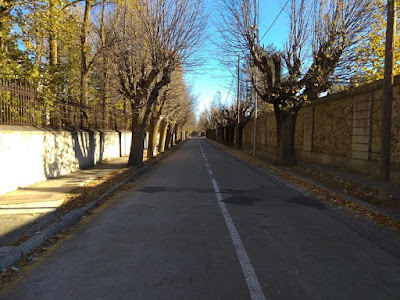 Puigcerdà