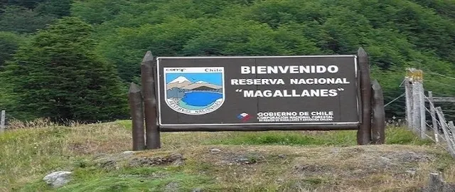 Magallanes National Reserve near Punta Arenas.