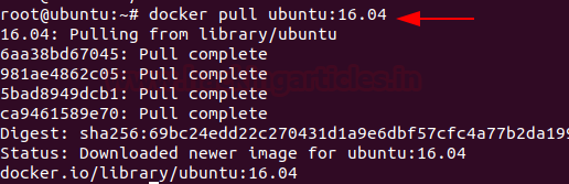 Docker Image Vulnerability Assessment