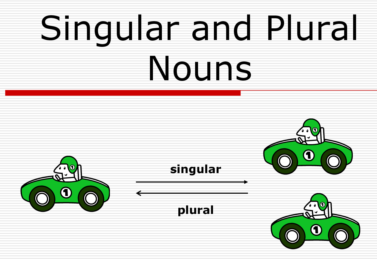 Lesson Plan Of Singular And Plural Nouns Regular Irregular English 