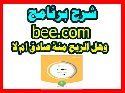 شرح تطبيق bee ,bee تطبيق ,هل الربح من تطبيق bee صادق ام لا,bee.com