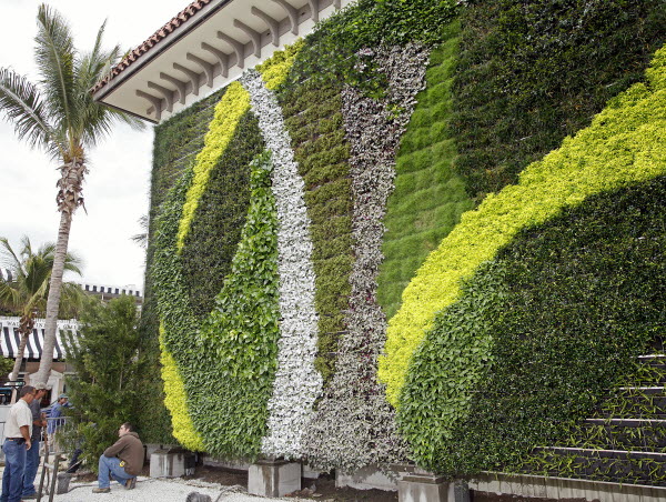 Tukang pembuat taman vertikal | desain vertical garden | solusi taman
