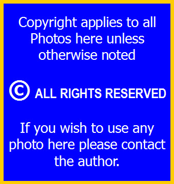 Copyright