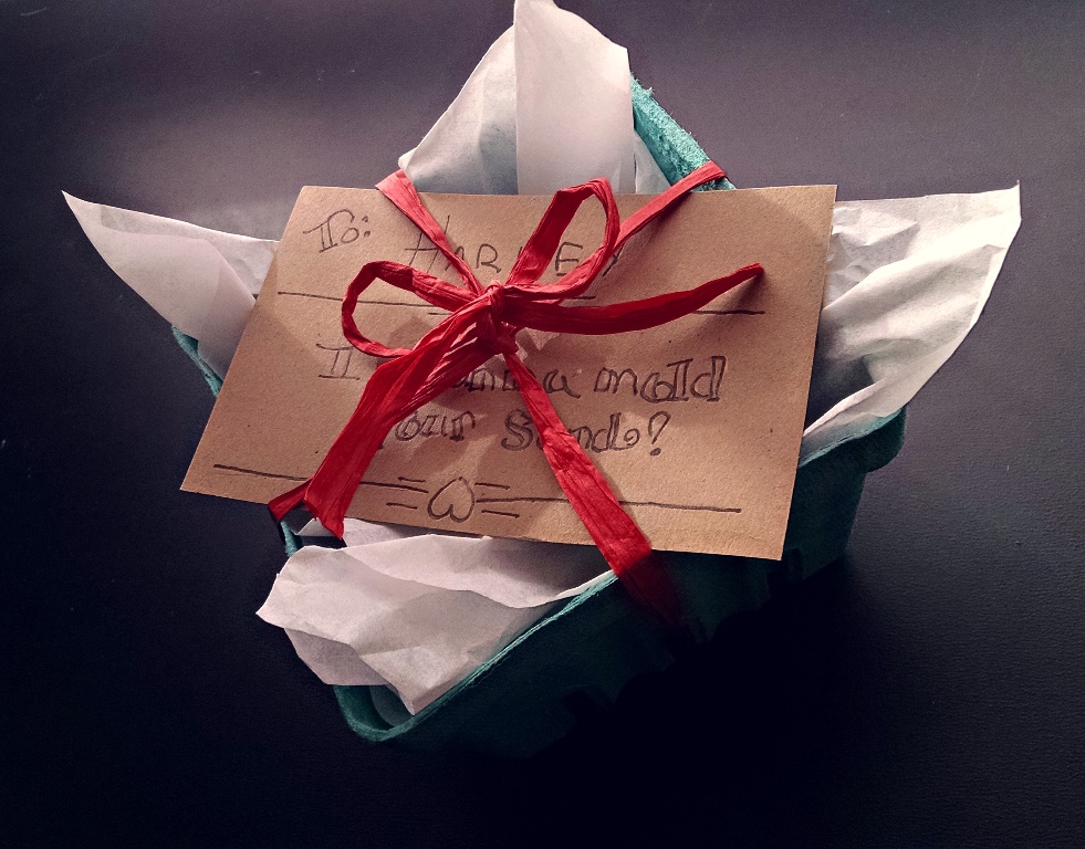 Hello, Wild Things: DIY Valentines Gift