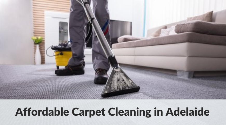 affordable carpet cleaner