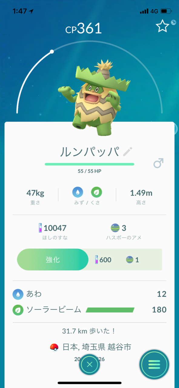 メシアブログ ポケモンgo ルンパッパ