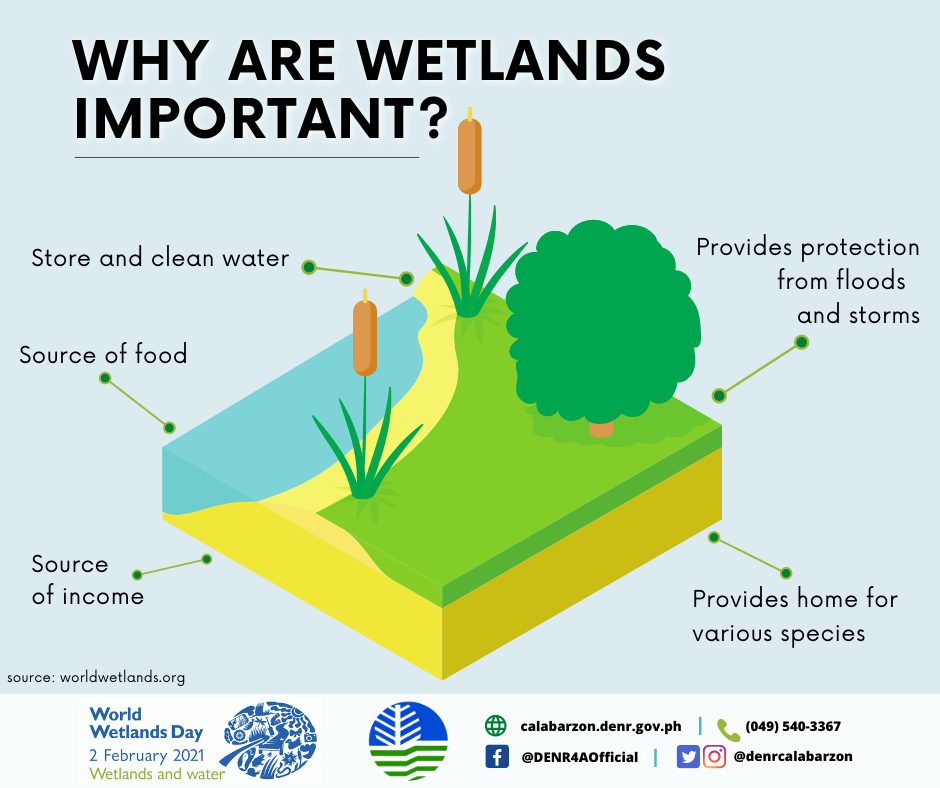 Why Are Wetlands Important? Feat. Wetlands and Lakes in CALABARZON