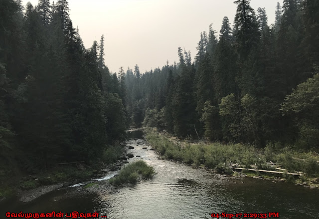 Lewis River Loop Hike Washington