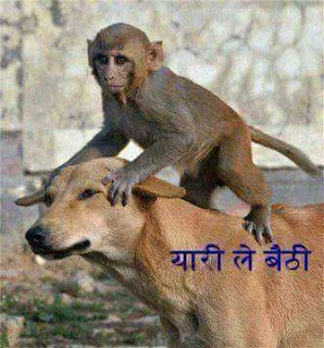 Funny Hindi Whatsapp Pictures