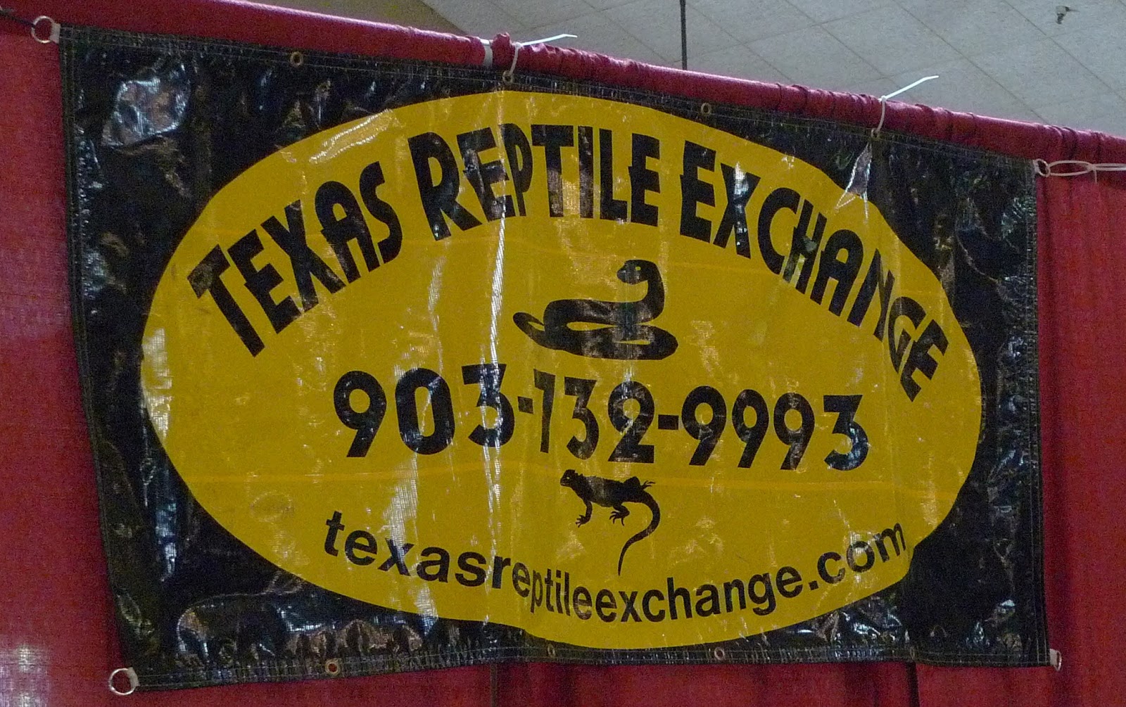 Paraherpetology: Repticon Dallas, Part 7: The Texas Reptile Exchange