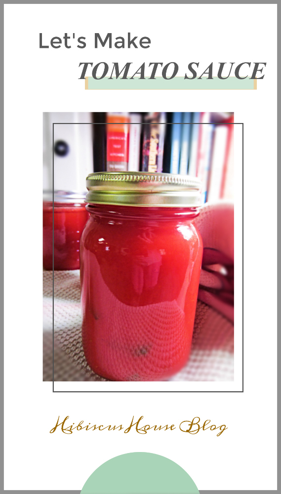 Ball HarvestPro Sauce Maker - Healthy Canning in Partnership with Canning  for beginners, safely by the book