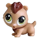Littlest Pet Shop Style Set Hamilton Rumble (#3706) Pet