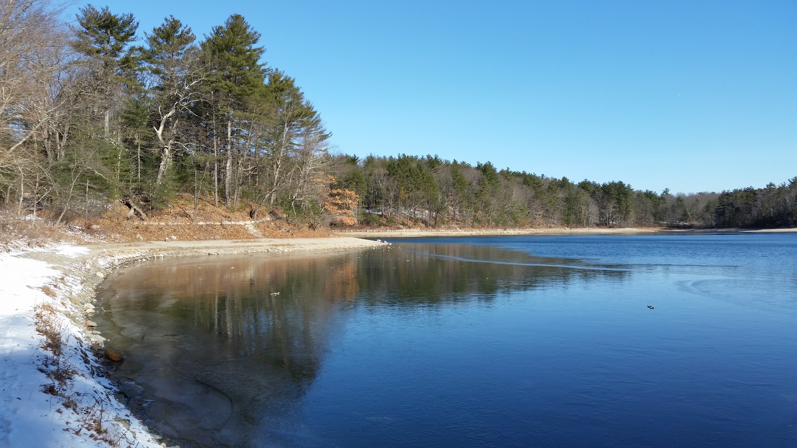 Walden Pond Winter into Spring (My six weeks of radiation) March 2017