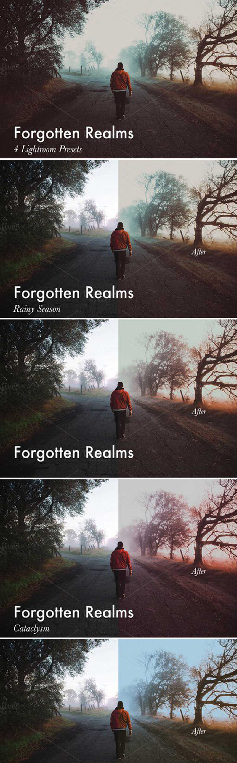 CM - Forgotten Realms-4 Lightroom Presets 400125 2 gdhgwsrtg