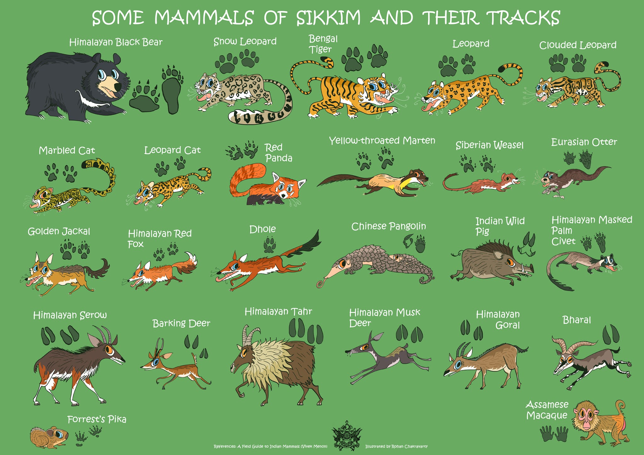 Green Humour Mammals Of Sikkim