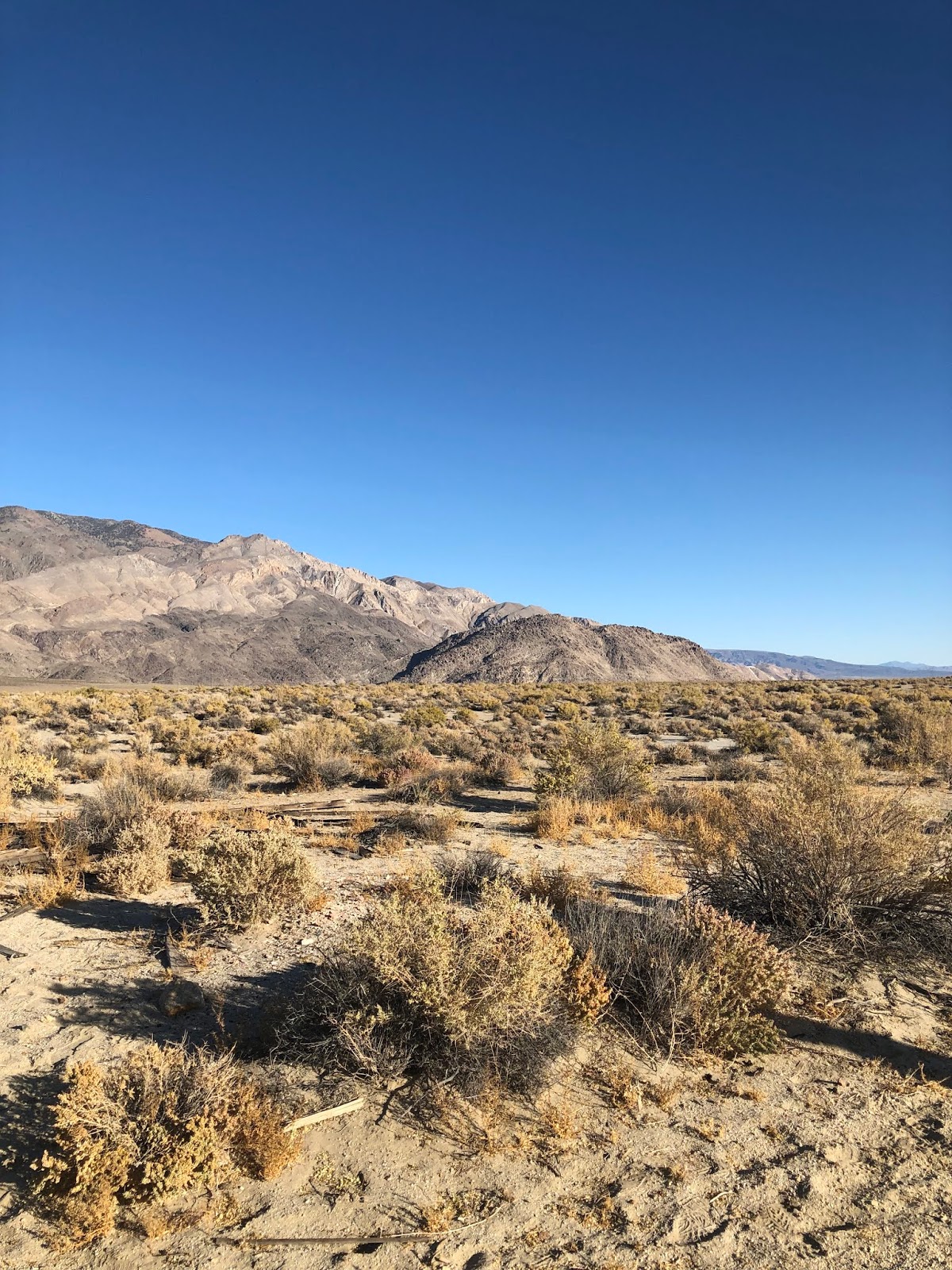 Laura's Miscellaneous Musings The Lone Pine Film Festival Bad Day at