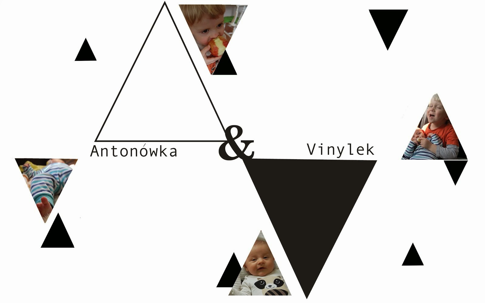 Antonowka & Vinylek