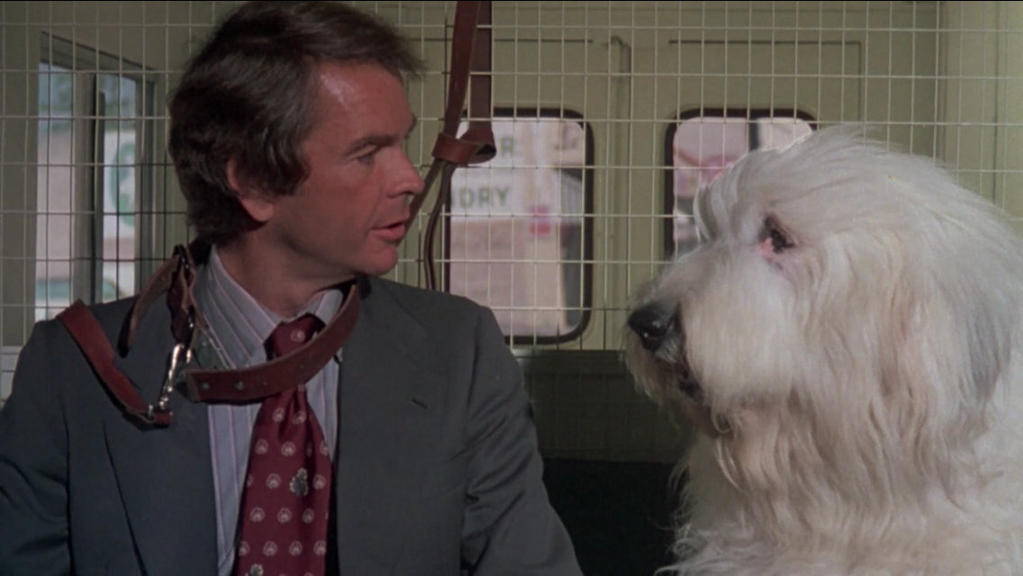 Jingle Bones Movie Time The Shaggy D.A. (1976)