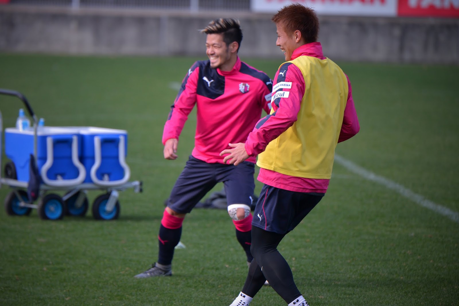 セレッソ大阪狂乱観戦記 O Lunatico Amou Futebol 15
