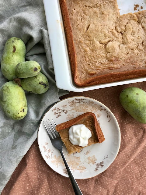 Sweet, creamy, custardy, and delicious - pawpaw pudding is a wonderful old-fashioned autumn treat! Plus it's simple and quick to throw together (once you have the pawpaw pulp, that is).