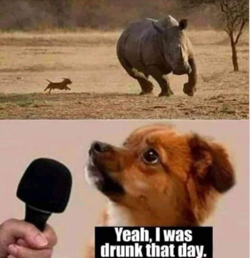 3.jpeg