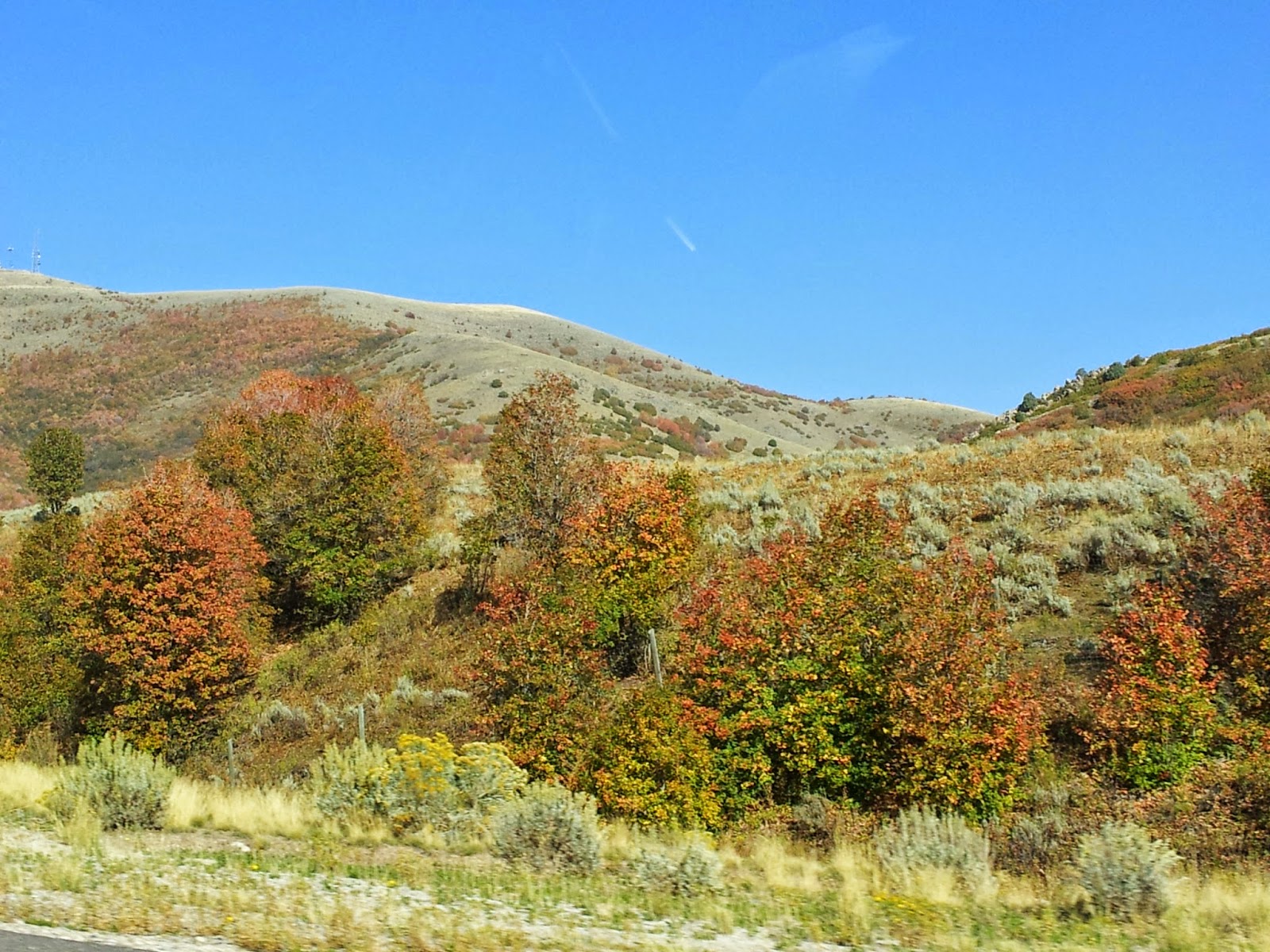 CW and SKAT's BIG Adventure CW and SKAT's Adventures Day 142 Sept