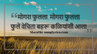 Mogara Phulala Lyrics in Marathi